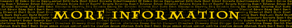 More information [title banner]